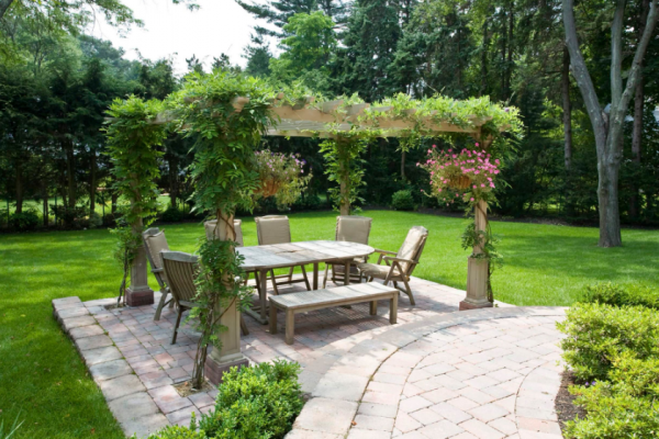 Tanaman Rambat pada Pergola